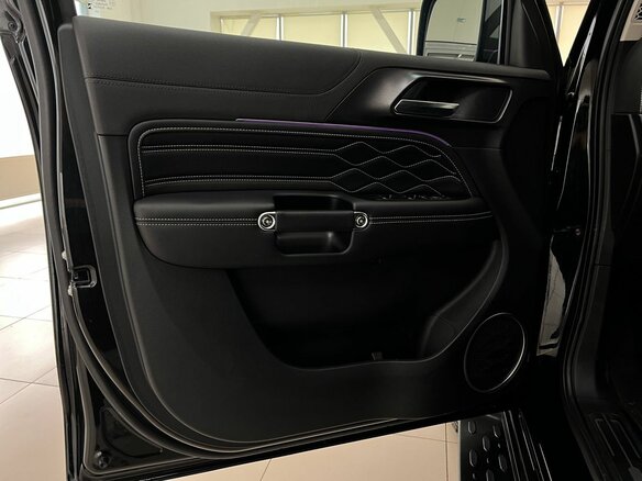 2023 Tank 300 I, чёрный, 3395000 рублей - вид 25