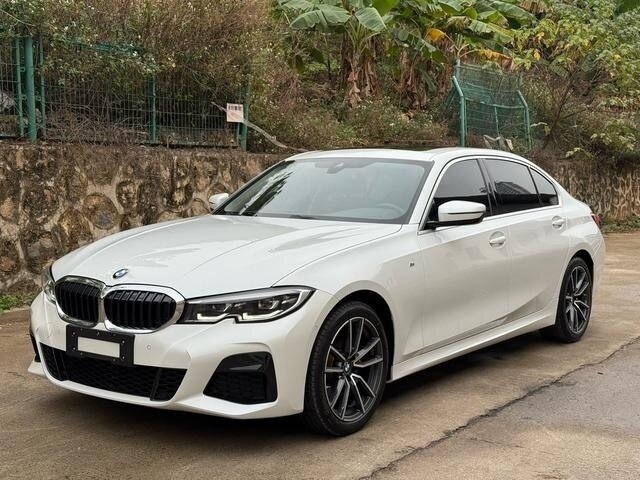 BMW 3 серии Long 320Li VII (G2x)