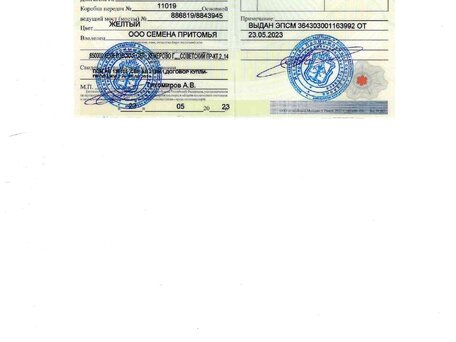 1988 Кировец К-700, жёлтый, 480000 рублей, вид 5