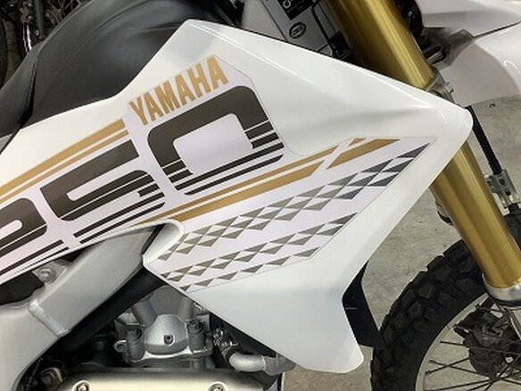 2016 Yamaha WR250R, белый, 785000 рублей - вид 14