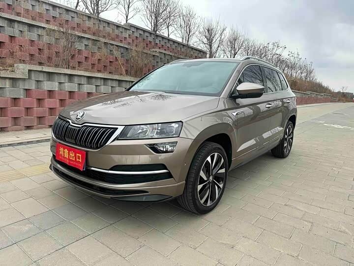 Skoda Karoq I