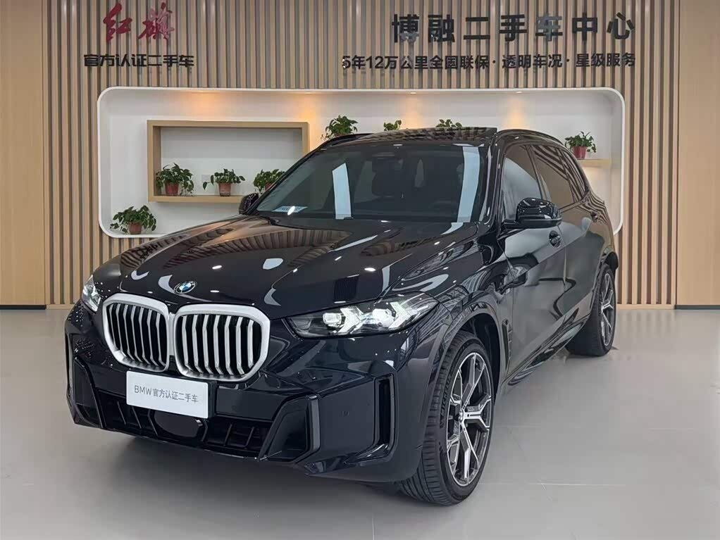 BMW X5 Long 30Li IV (G05/G18) Рестайлинг