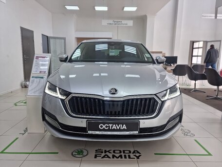 Купить Skoda Octavia IV (A8) по цене от ...