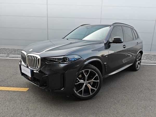 BMW X5 Long 30Li IV (G05/G18) Рестайлинг