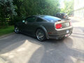2005 Ford Mustang V, серый - вид 4