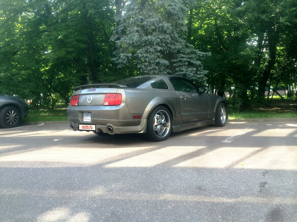 2005 Ford Mustang V, серый - вид 5