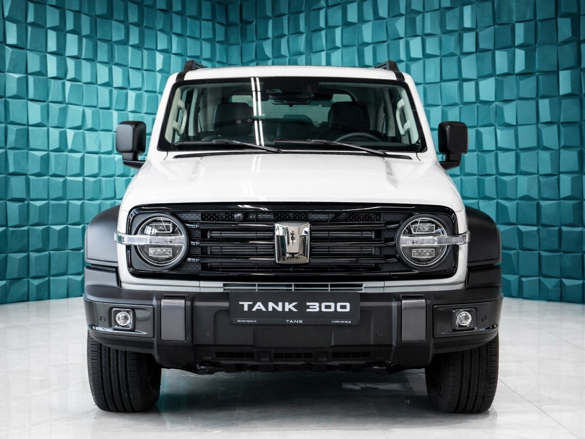 Tank 300 I