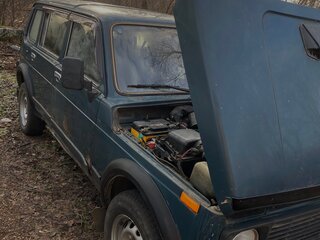 2003 Lada (ВАЗ) 2131 (4x4) I, синий, 110000 рублей, вид 4