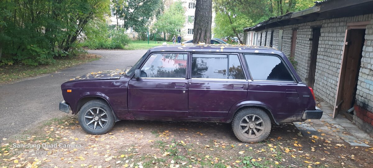 Лада хлопотова дубна