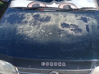 1993 Toyota Corona SF IX (T190), зелёный, 355000 рублей, вид 1