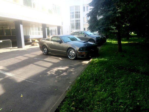 2005 Ford Mustang V, серый - вид 2