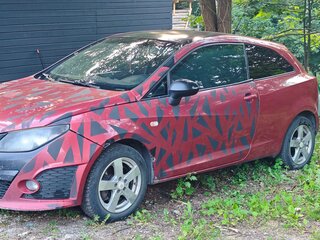 2009 SEAT Ibiza Cupra IV, красный, 504000 рублей, вид 1