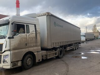 2023 Grunwald Полуприцеп шторный, чёрный, 2575000 рублей, вид 1