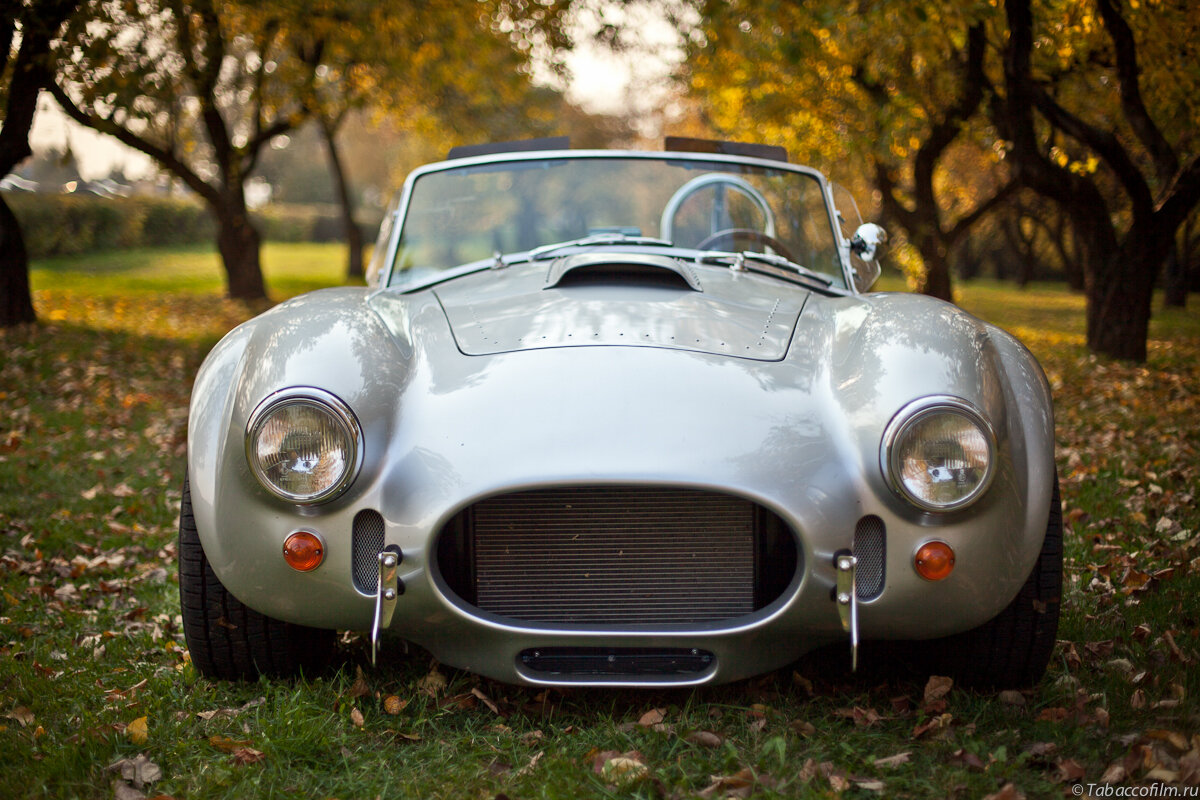 AC Cobra MK 6
