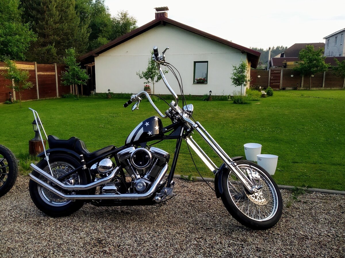 Harley Davidson Softail Custom 6 2013 ID 3142262