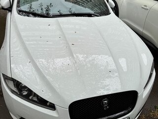 2012 Jaguar XF I Рестайлинг, белый, 1690000 рублей, вид 1