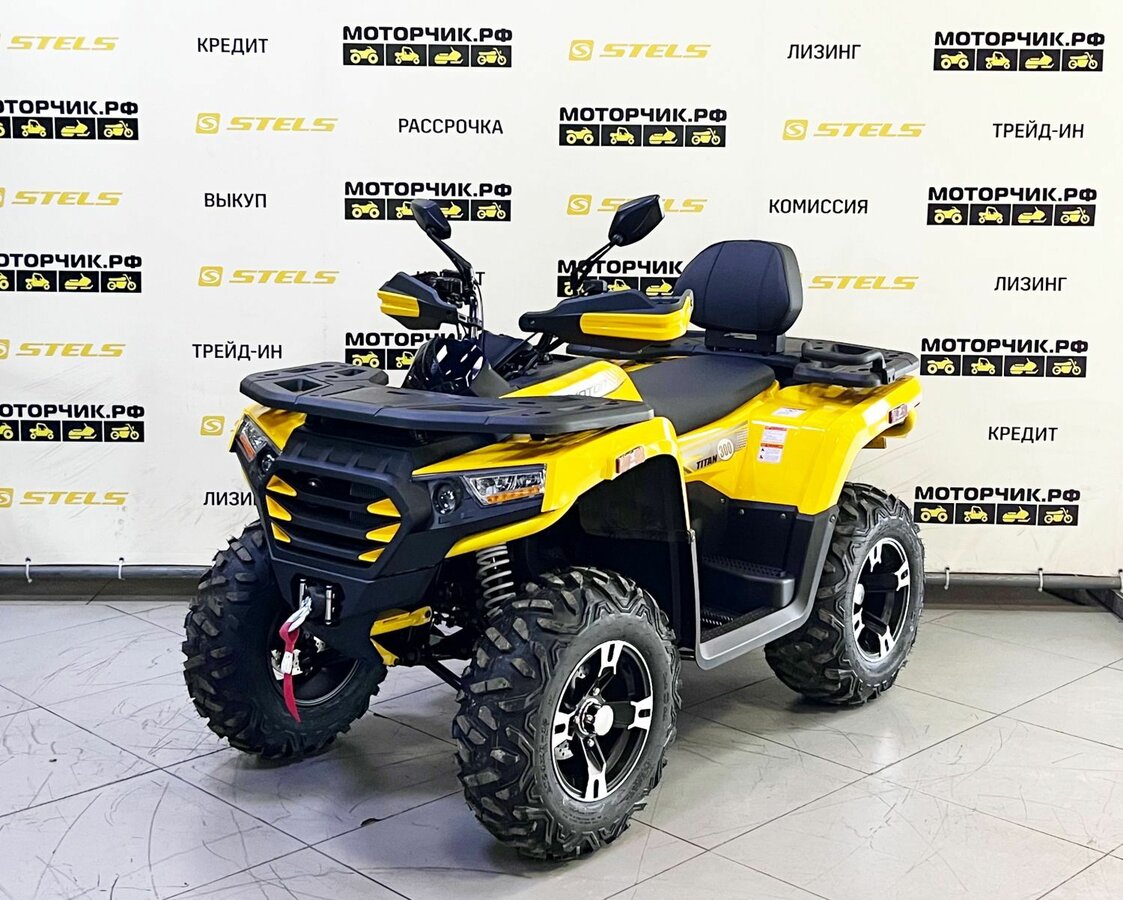Tao Motor Titan 300