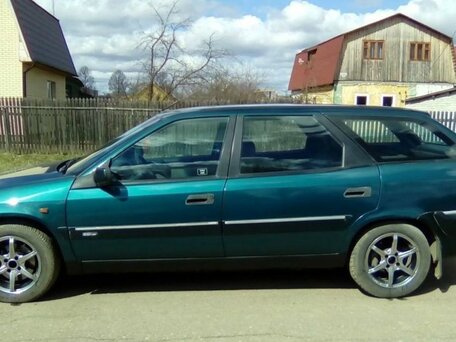 Tukli mushuklar bilan gozalliklar unga it uslubini beradi