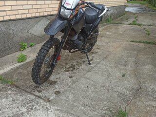 Nexus XT250