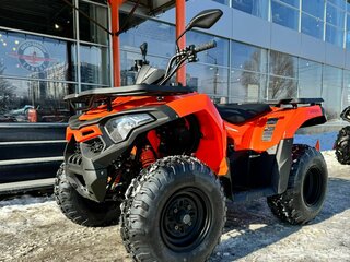 2025 Loncin Xwolf 200, оранжевый, 279000 рублей, вид 1