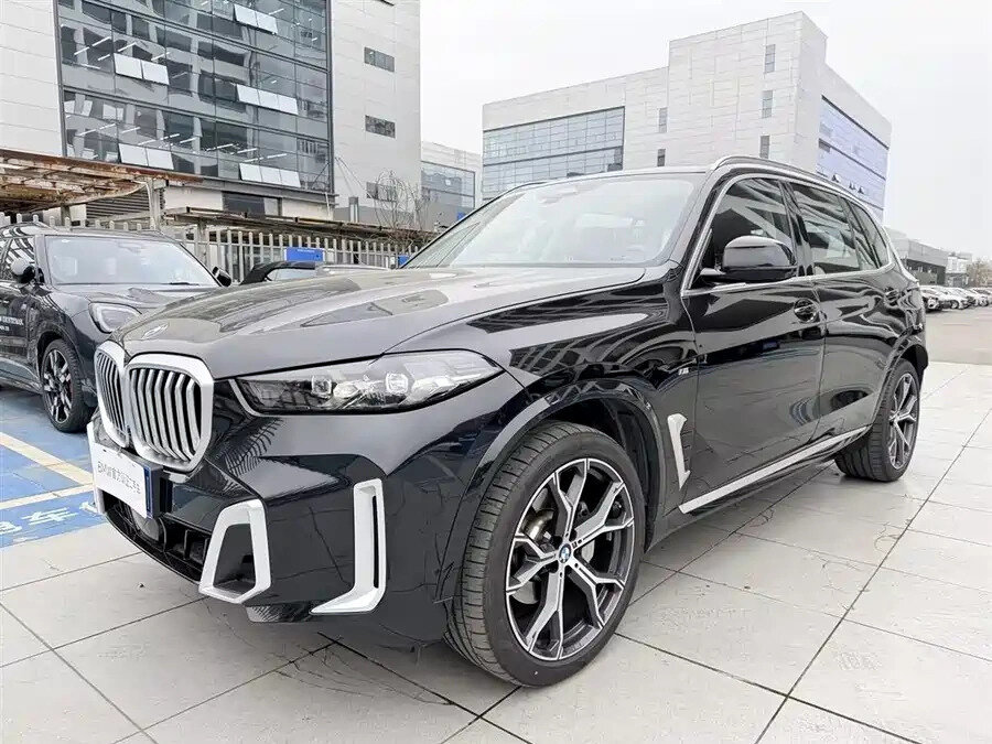 BMW X5 Long 30Li IV (G05/G18) Рестайлинг
