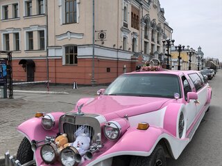 1996 Lincoln Town Car II, розовый, 1000000 рублей, вид 1
