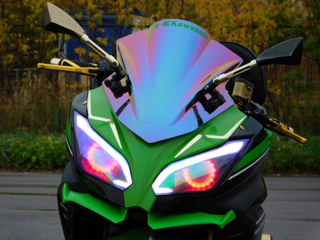 Kawasaki ninja 300 buy online hotsell