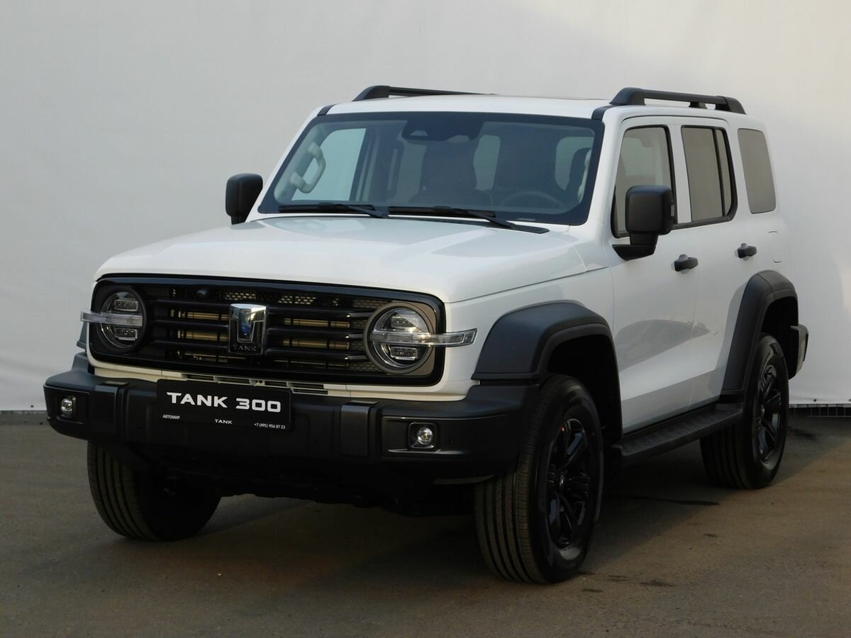 Tank 300 I