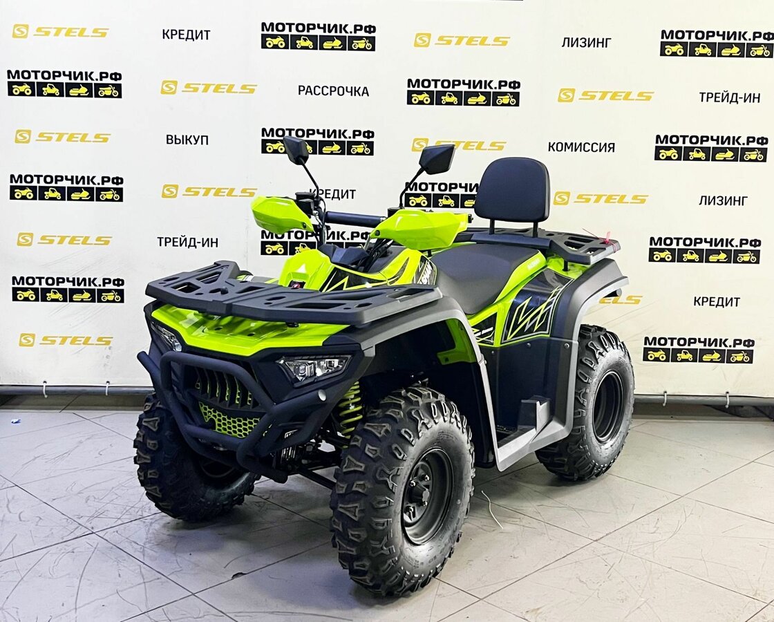 Bashan Explorer 300