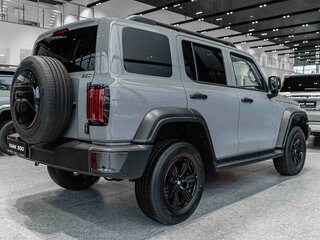 2026 Tank 300 I, серый, 5249000 рублей, вид 5