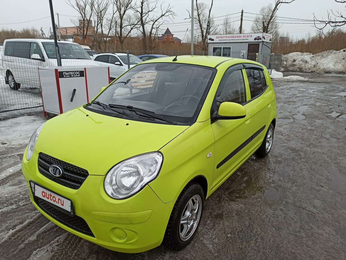 Кипарис цвет авто