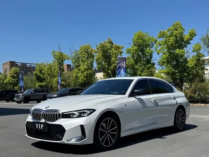 BMW 3 серии Long 320Li VII (G2x) Рестайлинг