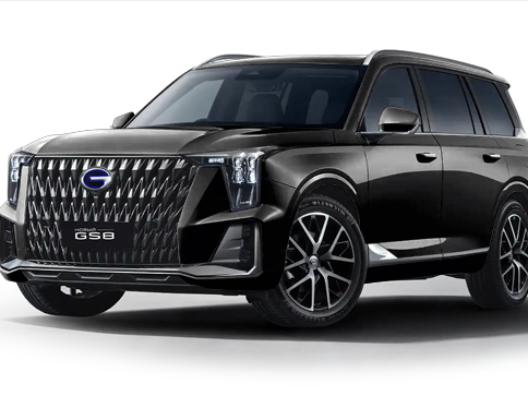 GAC GS8 Dragon II