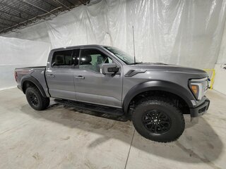 2026 Ford F-150 Raptor SuperCrew Raptor XIV Рестайлинг, серый, 13698081 рублей, вид 1