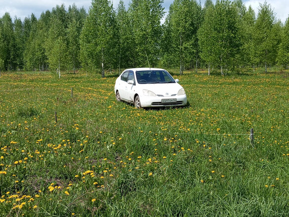 2002 Toyota Prius I Рестайлинг (XW10), белый, 450000 рублей - вид 1