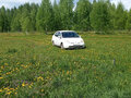 2002 Toyota Prius I Рестайлинг (XW10), белый, 450000 рублей - вид 1