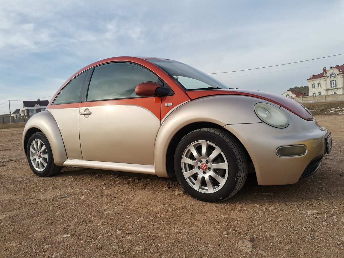Beetle 2001