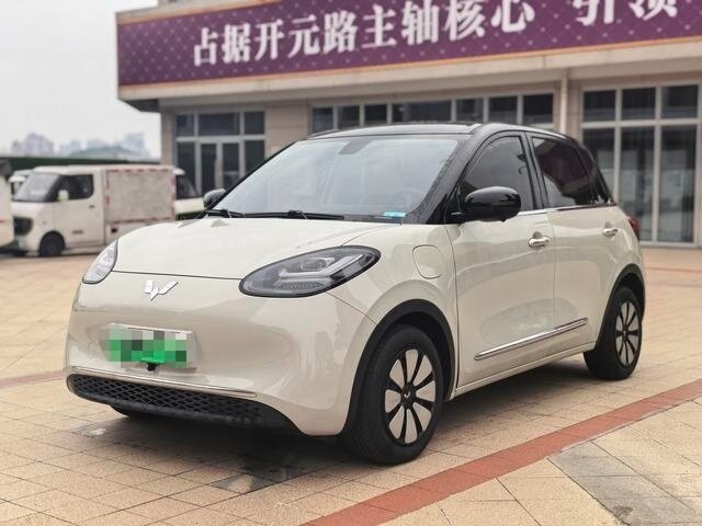 Wuling Binguo