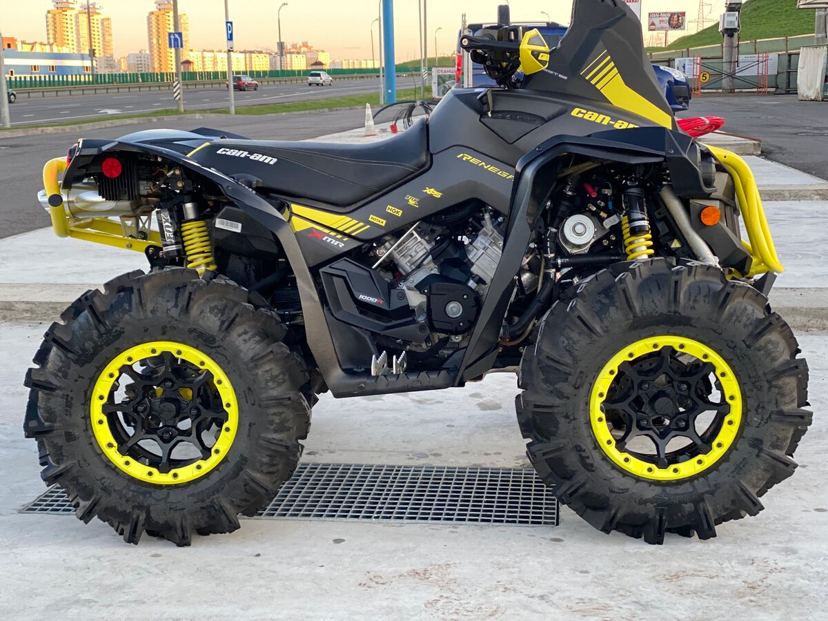 2019 BRP Can-Am Renegade 1000, чёрный.