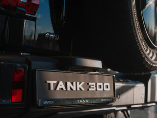 2026 Tank 300 I, чёрный, 5249000 рублей, вид 5