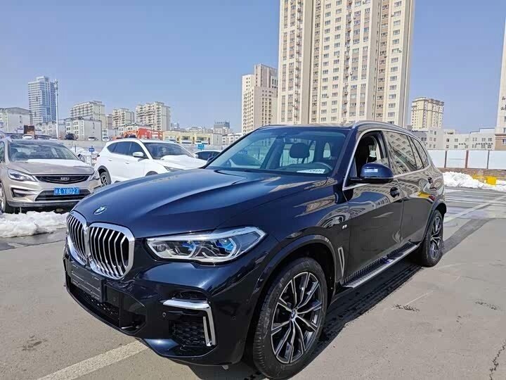 BMW X5 Long 30Li IV (G05/G18)