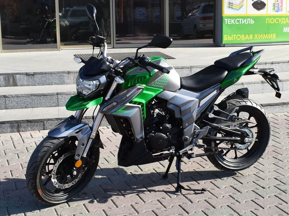 Regulmoto T-Leopard 300