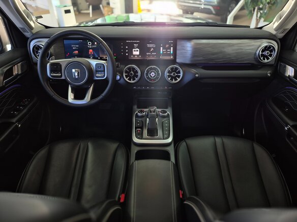 2024 Tank 300 I, серый, 4250000 рублей - вид 21