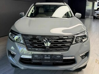 2024 Oting Paladin, серый, 3050000 рублей, вид 3