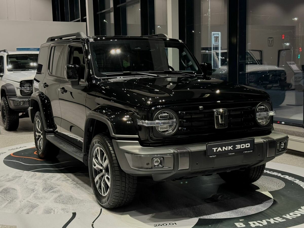 Tank 300 I
