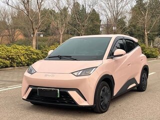 2025 BYD Seagull 38.88 kWh I, розовый, 1244000 рублей, вид 1