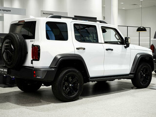 2025 Tank 300 I, белый, 4599000 рублей, вид 1