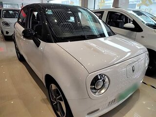 2022 Ora Black Cat 33 kWh, белый, 1050000 рублей, вид 3