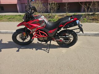 Fuego Tekken 250