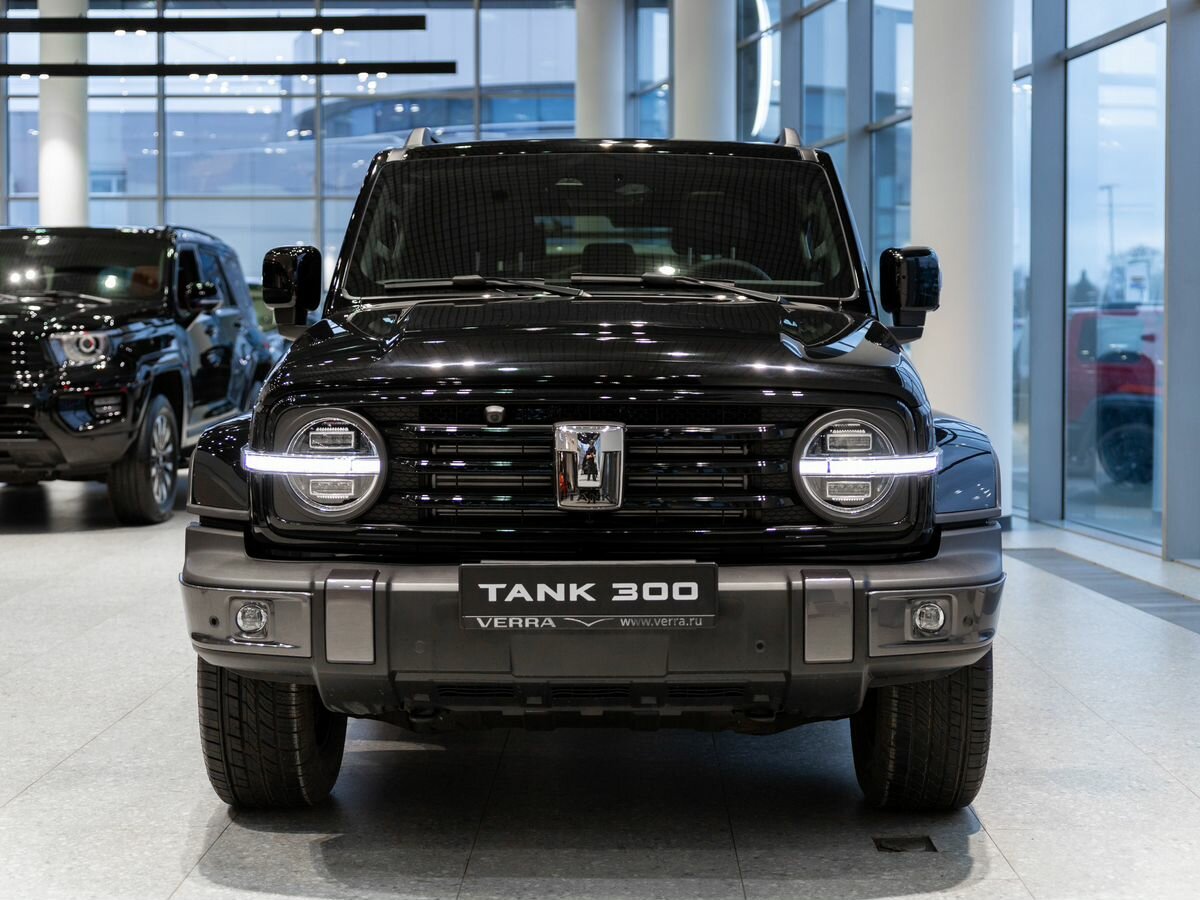 Tank 300 I